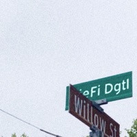 Willow St - Single - DieFi Digital
