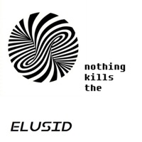 Nothing Kills the Vacancy - Single - Elusid