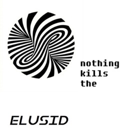 The Vacancy Elusid