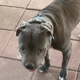 Promise (feat. Tr3ndz) Zeavon