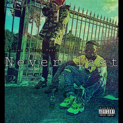 Never Last - Single