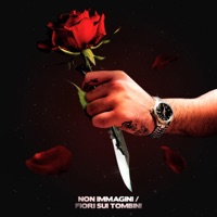 Non Immagini / Fiori Sui Tombini (feat. PRINCE DRAGO) - Single - Catastrofe