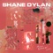 As You Wanna Be! (feat. Rayel) - Shane Dylan lyrics