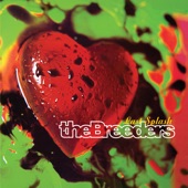 The Breeders - New Year