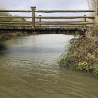 Mistreated, Misplaced - Single - Casperrr