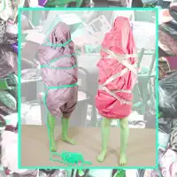 LE HAMSTER — Calamine