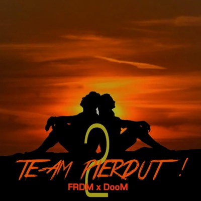 Te-am pierdut 2 (feat. DooM) - Single