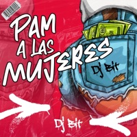 pam a las mujeres dj bit - Single - Dj BitTv