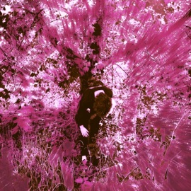 ROSE QUARTZ (feat. Vaeo) Juiceblume