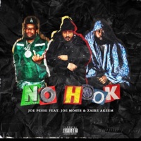 No Hook (feat. Joe Moses & Zaire Akeem) - Single - Joe Peshi