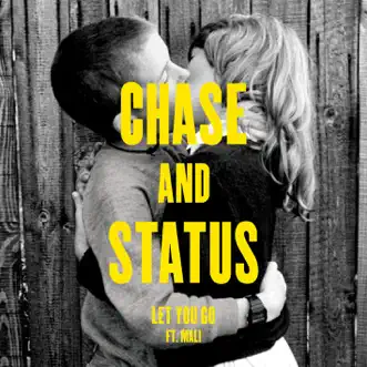 Let You Go (feat. Mali) by Chase & Status song reviws