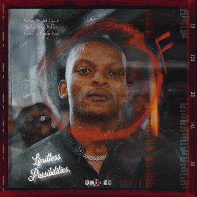 Limitless Possibilities