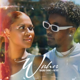 Wishes (feat. Nitry) Bruno Shine