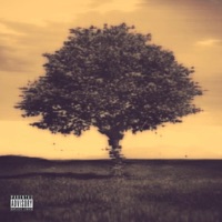 Summer Breeze - Single - Kso Jaynes