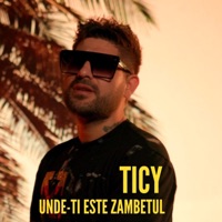 Unde-ti este zambetul - Single - Ticy
