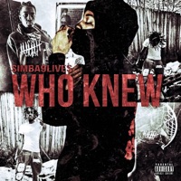 Who Knew - Single - Simba9Lives