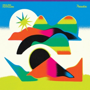 Fireworks (Pregnant Remix) - Single