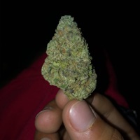 Hatesgiving (feat. Greenbeam) - Single - Snooziewitauzi