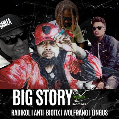Big Story (feat. Lingus, Anti-Biotix & WolfGang) - Single