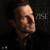 Zise artwork