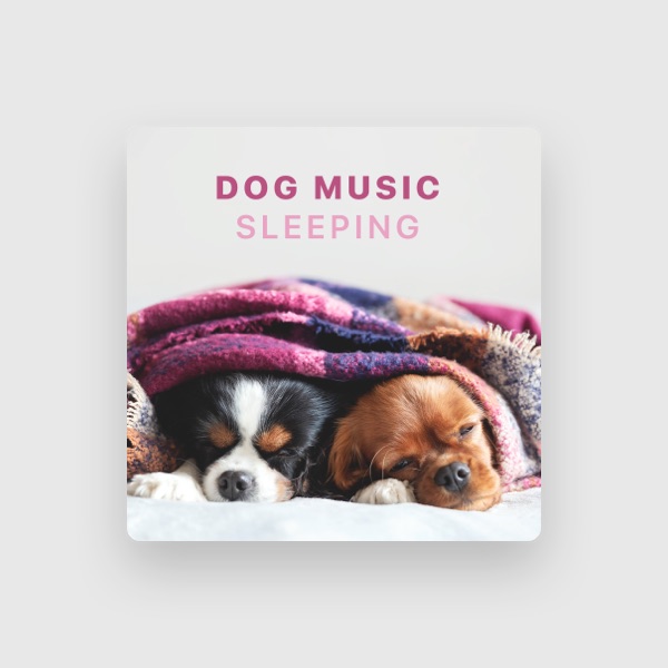 Sleepy Dogs's avatar