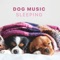 Music for Dog's Ears - Sleepy Dogs lyrics