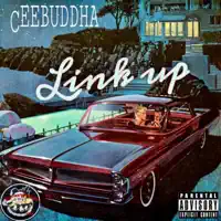 Link Up — CeeBuddha