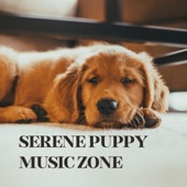 Serene Puppy Music Zone artwork