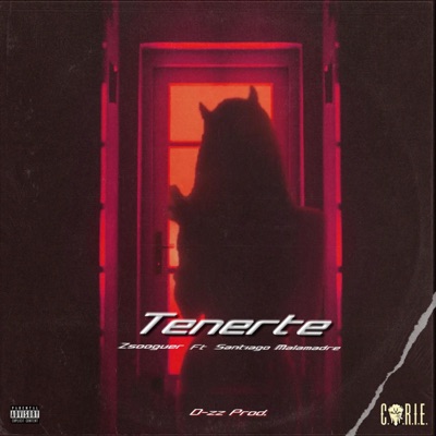 Tenerte (feat. Santiago malamadre & D-zz) - Single