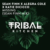 Missing (Sean Finn Mix) artwork