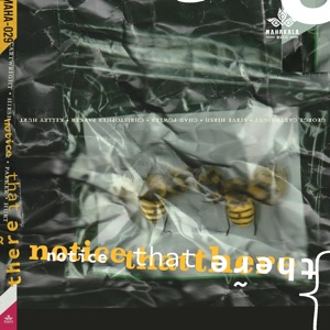 Notice That There (feat. Steve Hirsh, Christopher Parker, Chad Fowler & Kelley Hurt)
