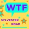 Wtf - Sylvester Road lyrics