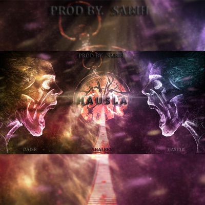 Hausla (feat. Hashir Aziz & Shaleem Kashif) - Single