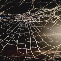 I Don't Know - Single - LilTooSad