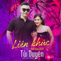 Liên Khúc Việt Mix 2024 / Tủi Duyên - Lâm Băng Phương