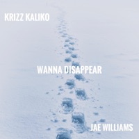 Wanna Disappear (feat. Krizz Kaliko) - Single - Jae Williams