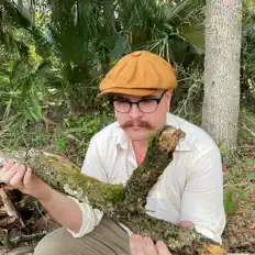 Ακούστε περιεχόμενο από Dot Org, παρακολουθήστε μουσικά βίντεο, διαβάστε το βιογραφικό, δείτε ημερομηνίες περιοδείας, και πολλά ακόμη!