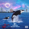 Sea World (feat. Deew Evol) - Single