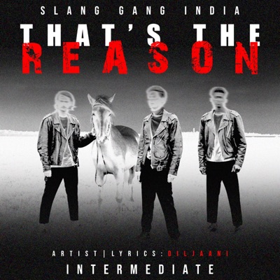 That's The Reason (feat. Diljaani) - Single