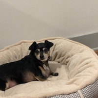 I'll Give You The Time - Single - AkiraDoves