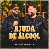 Ajuda de Álcool (Ao Vivo) artwork