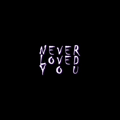 Never Loved You - Single