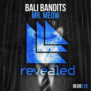 Mr. Meow - Single