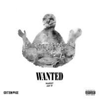 Wanted (feat. Jay pee) - Single - Narst
