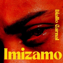 Pakistan (Radio Edit) Diallo Carnal