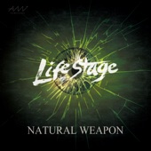 Life Stage artwork