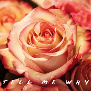 Tell Me Why (feat. kim yong)