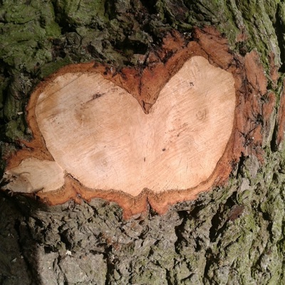 I'm So In Love With You - Single