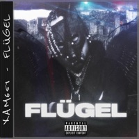 FLÜGEL - Single - Xam651