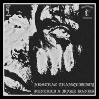 Abstract Tranquility (feat. B3NELLI) - Single - Make Bands